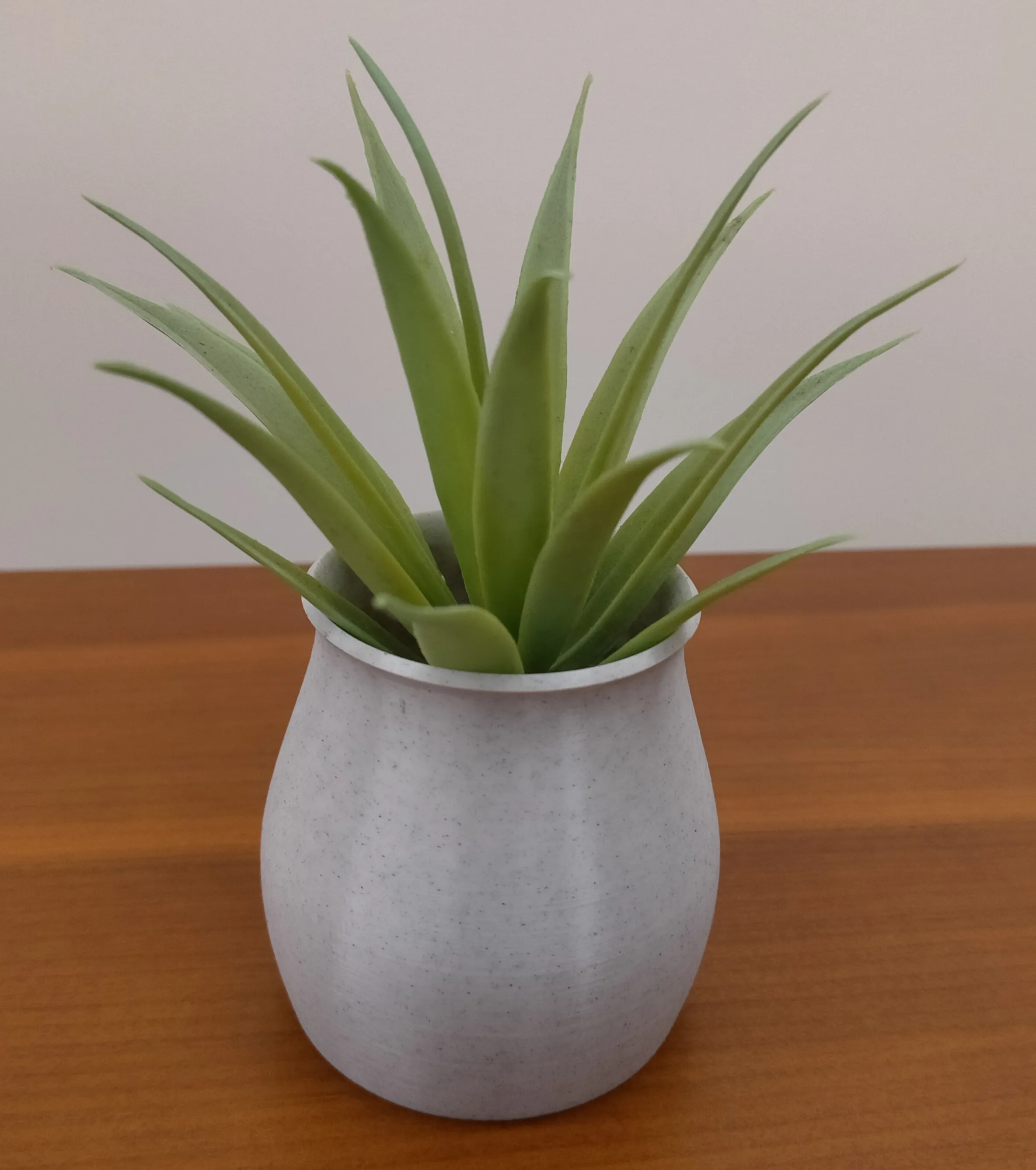 Mini Vaso Cato