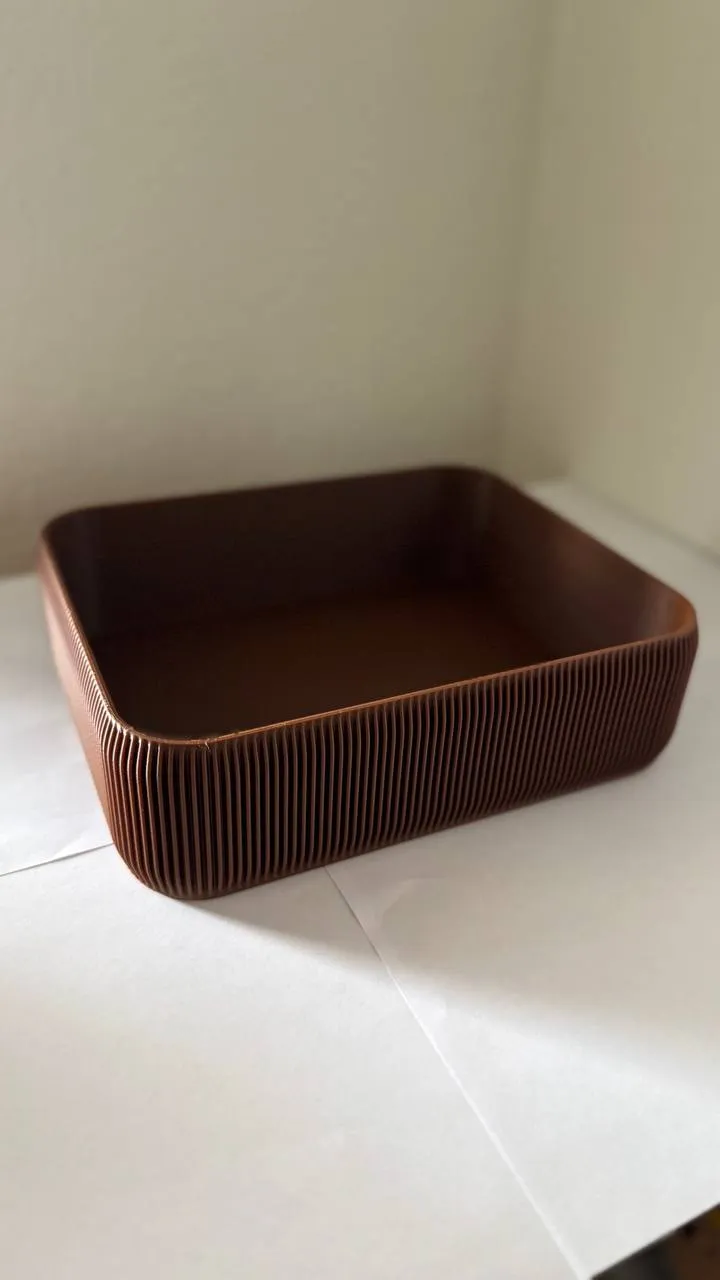 Bandeja Organizadora